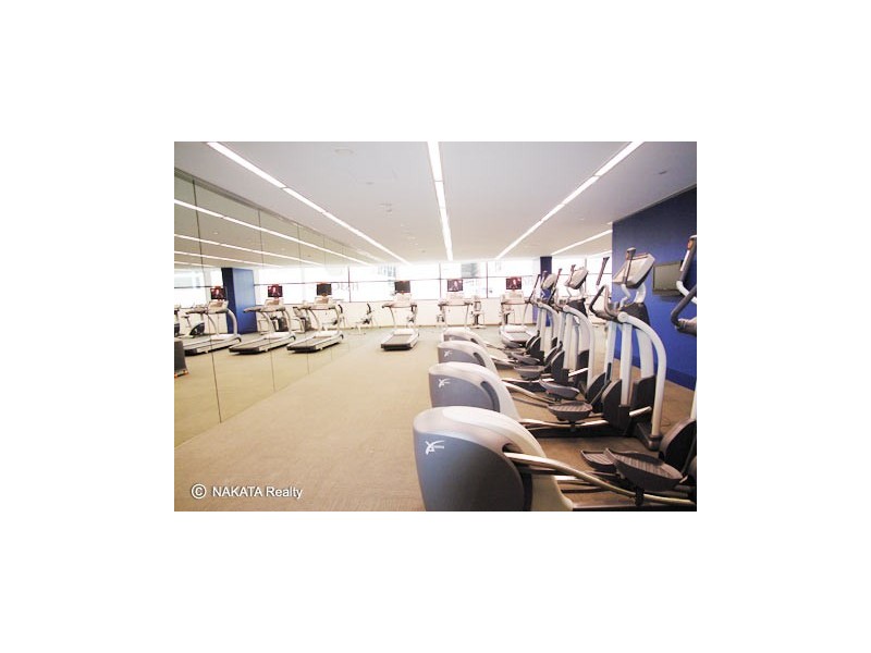 101 Bathurst St, Sydney NSW 2000