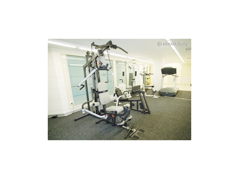 70 Alfred Street, Milsons Point NSW 2061