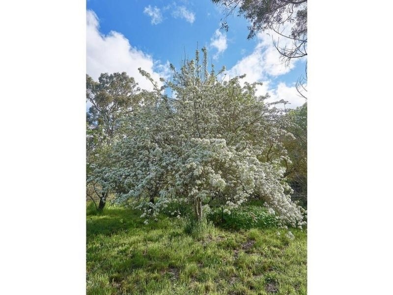 281 Junction Road, Balhannah SA 5242