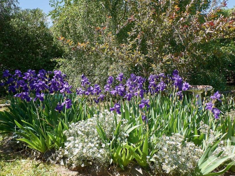 20 Jubilee Crescent, Mount Barker SA 5251