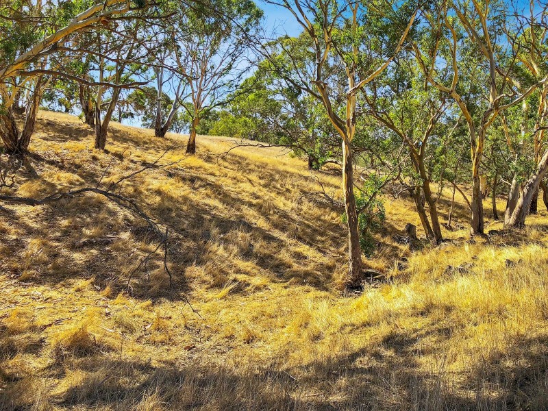 105 Harrogate Road, Brukunga SA 5252