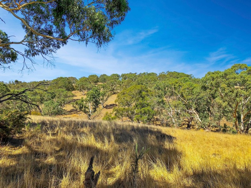 105 Harrogate Road, Brukunga SA 5252