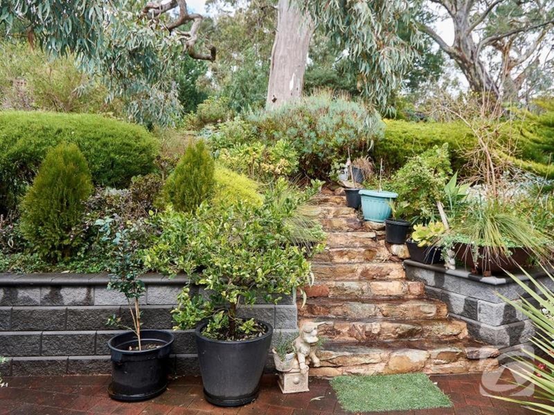 6 Hillside Court, Mount Barker SA 5251