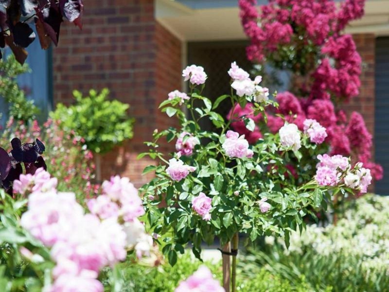 75 Rachel Circuit, Nairne SA 5252