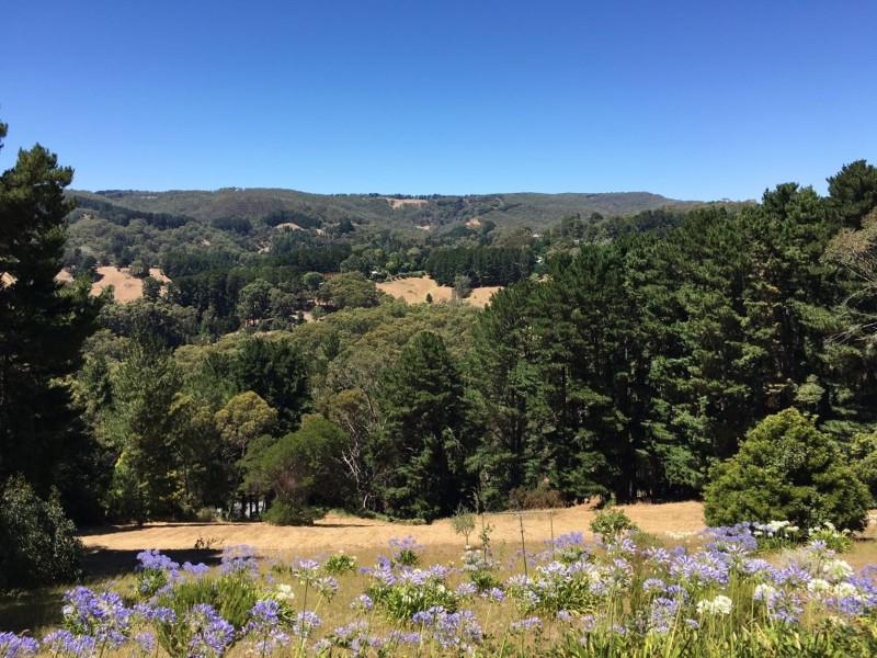 26 Taylors Road, Basket Range SA 5138