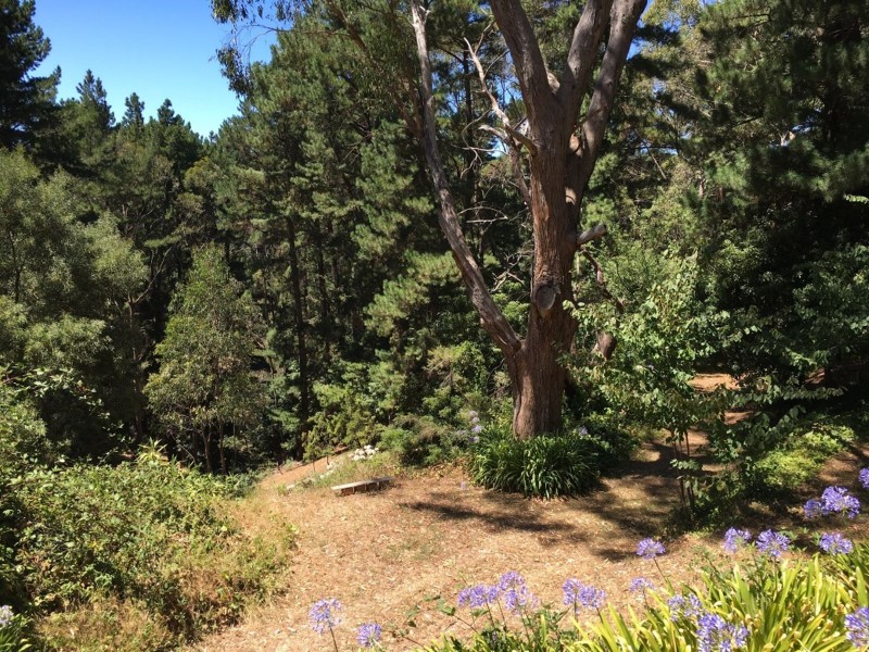 26 Taylors Road, Basket Range SA 5138