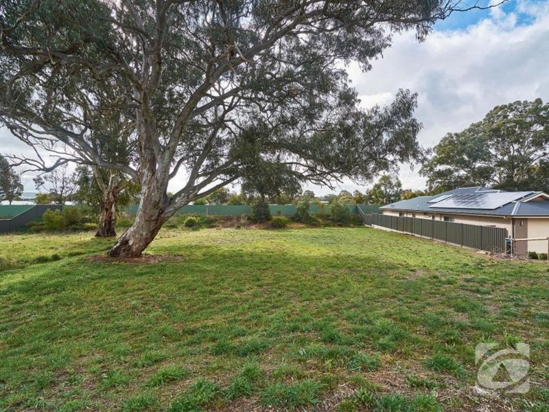 11 Graham Close, Mount Barker SA 5251