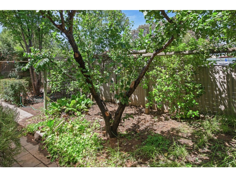 3/14 McCallum Court, Strathalbyn SA 5255