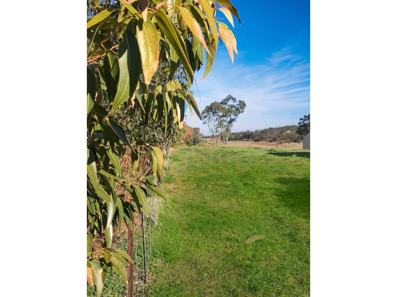 17 Bartholomew Road, Kanmantoo SA 5252