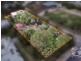 10 Donald Street, Dawesley SA 5252