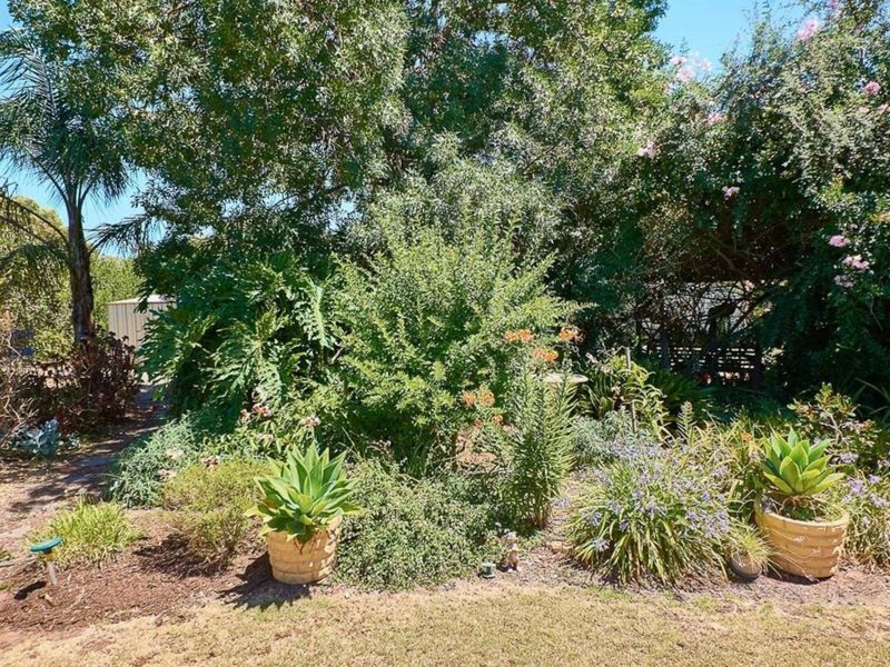 6 Love Avenue, Strathalbyn SA 5255
