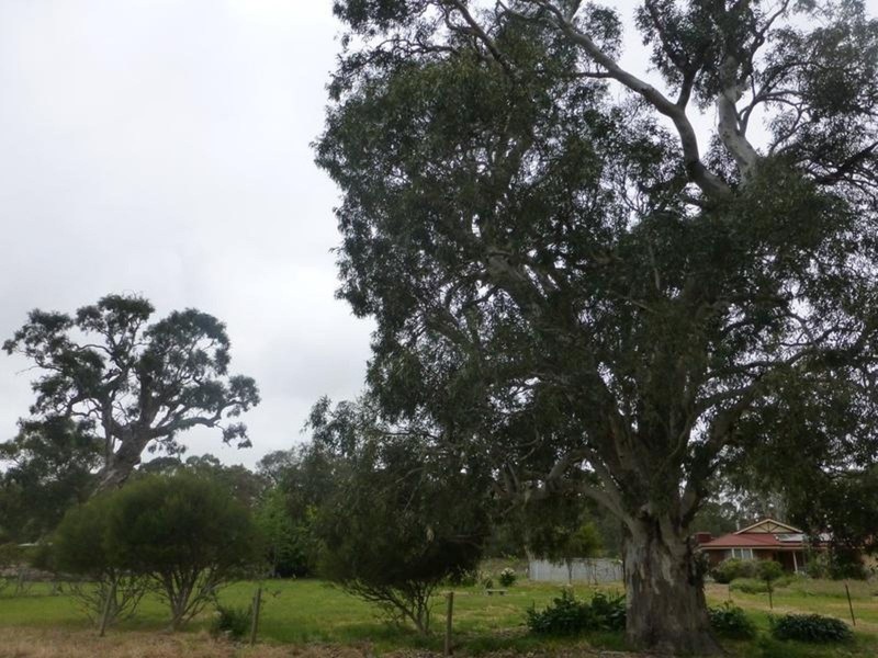 Lot 36 Bull Creek Road, Ashbourne SA 5157