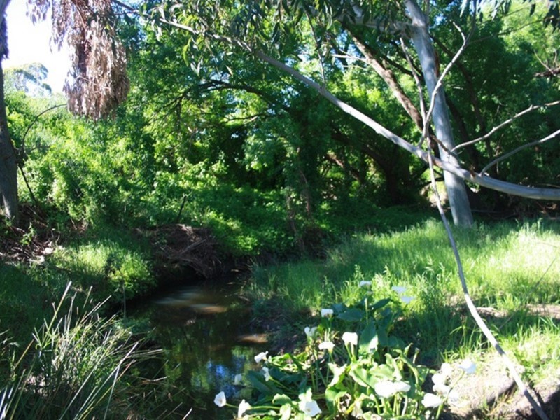 Lot 94 Bull Creek Road, Bull Creek SA 5157