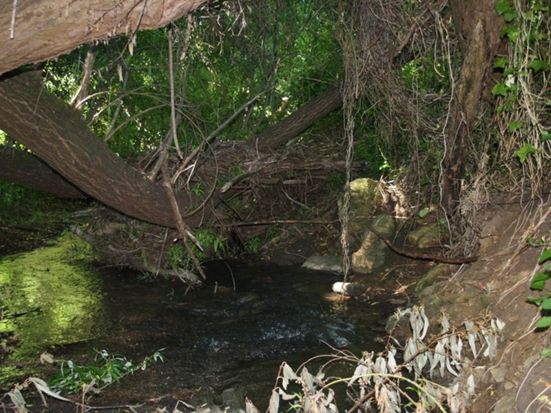 Lot 94 Bull Creek Road, Bull Creek SA 5157