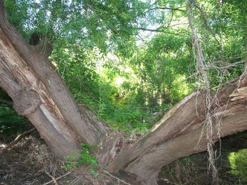 Lot 94 Bull Creek Road, Bull Creek SA 5157