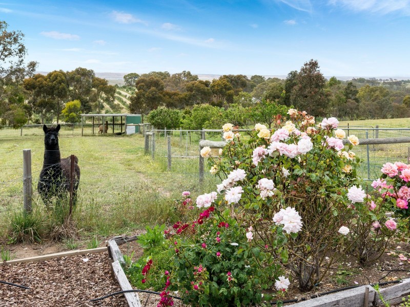 12 Harrogate Road, Dawesley SA 5252