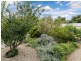 1 Lime Street, Strathalbyn SA 5255
