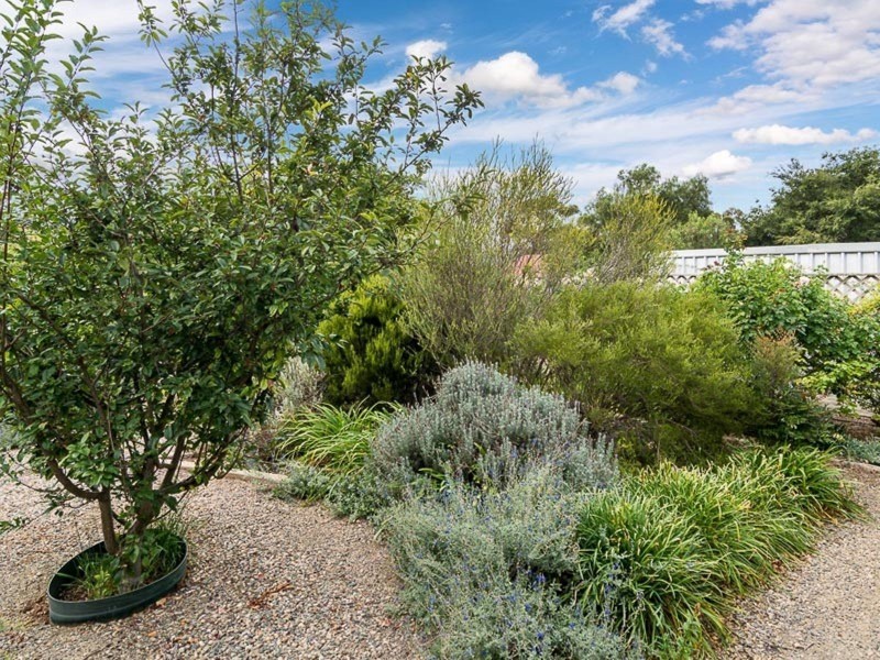 1 Lime Street, Strathalbyn SA 5255