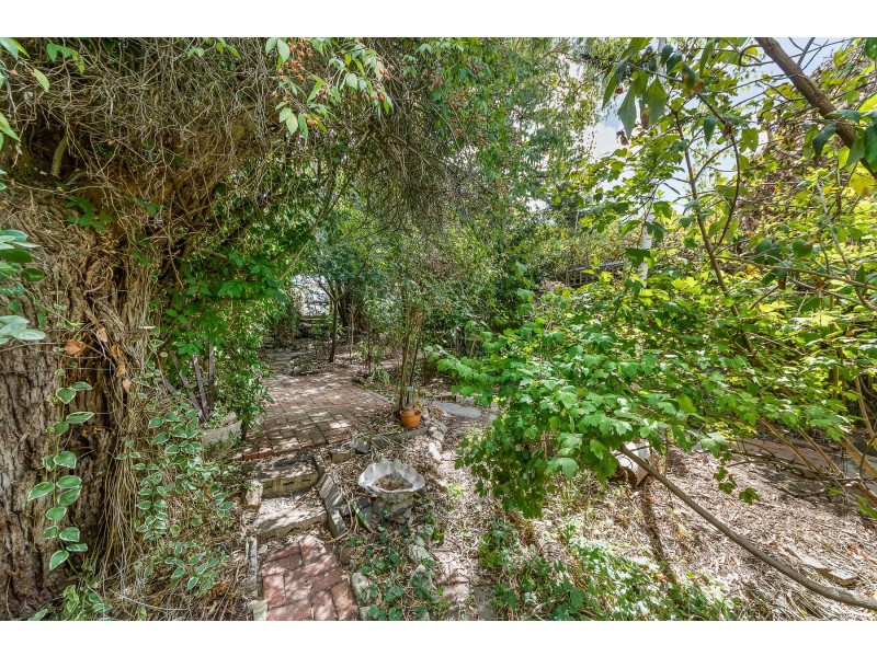 17 Netley Road, Mount Barker SA 5251