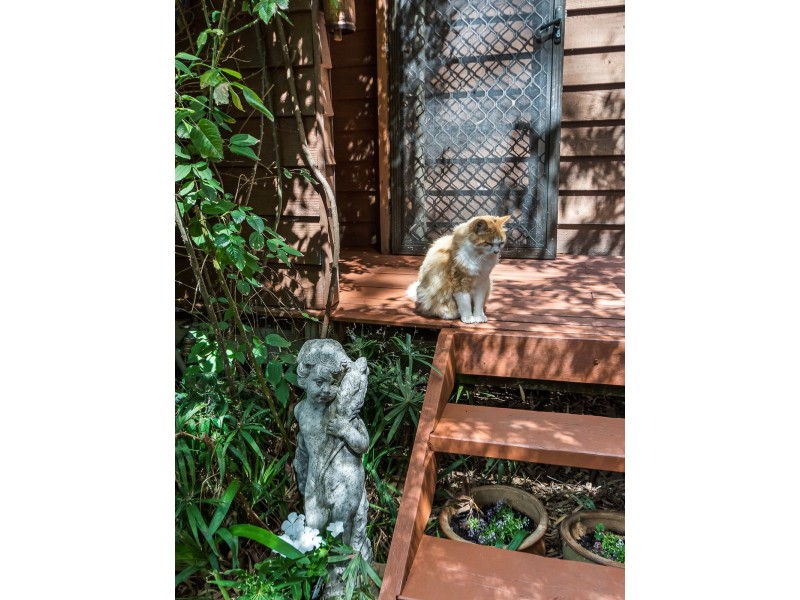 17 Netley Road, Mount Barker SA 5251