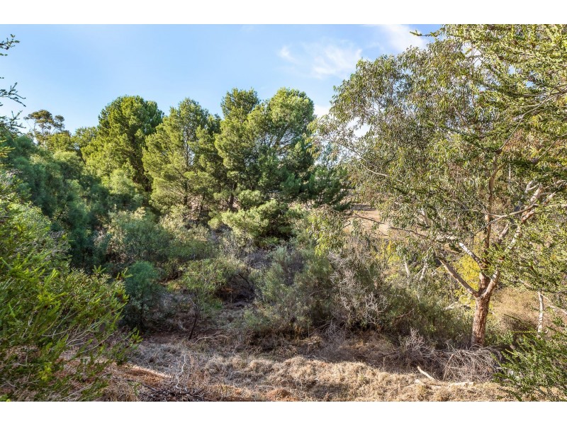 9 Stark Court, Willyaroo SA 5255