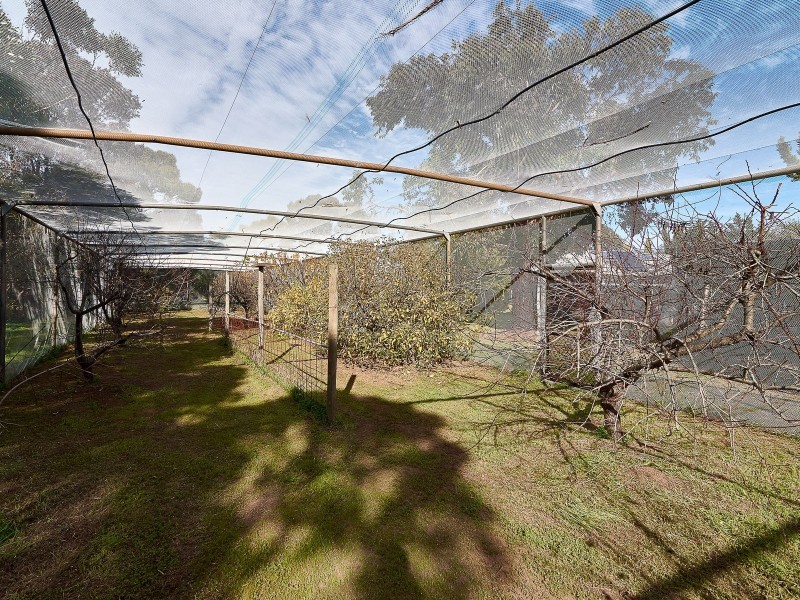 3 Albion Drive, Strathalbyn SA 5255