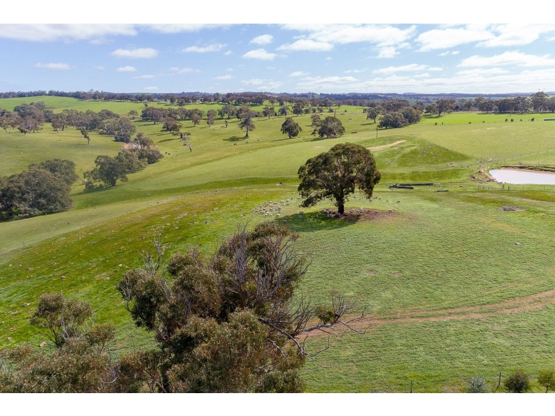 583 Ashbourne Road, Strathalbyn SA 5255