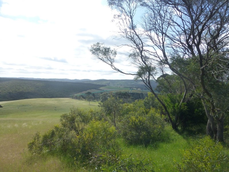 Lot 5 Bull Creek Road, Ashbourne SA 5157