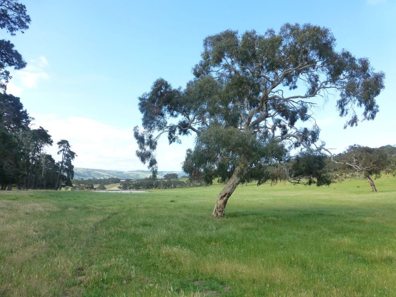 Lot 4 Bull Creek Road, Ashbourne SA 5157