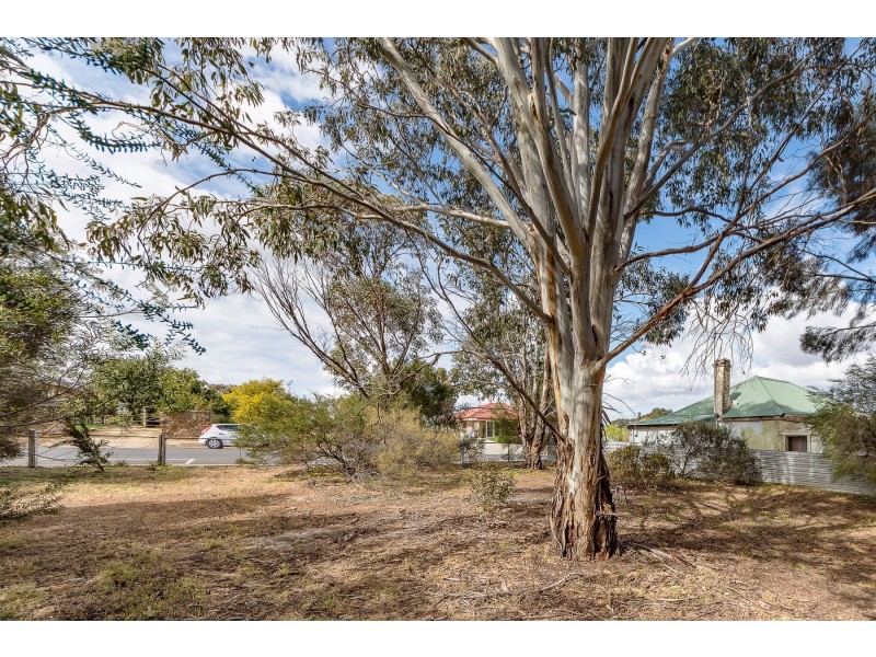 49 High Street, Strathalbyn SA 5255