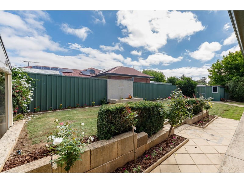 81 Rachel Circuit, Nairne SA 5252
