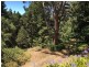 26 Taylor Road, Basket Range SA 5138