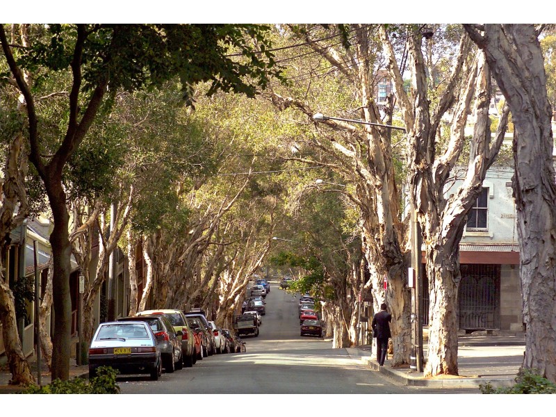 17 Francis Street, Darlinghurst NSW 2010