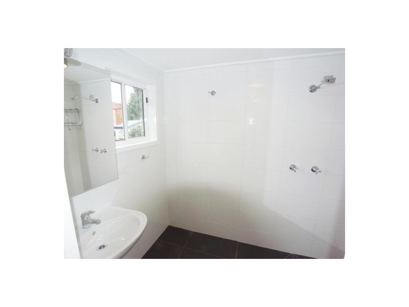 50 Mill Hill Road, Bondi Junction NSW 2022