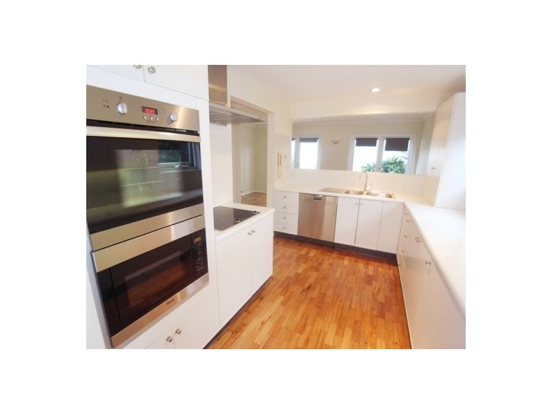 31a Caledonia Street, Paddington NSW 2021