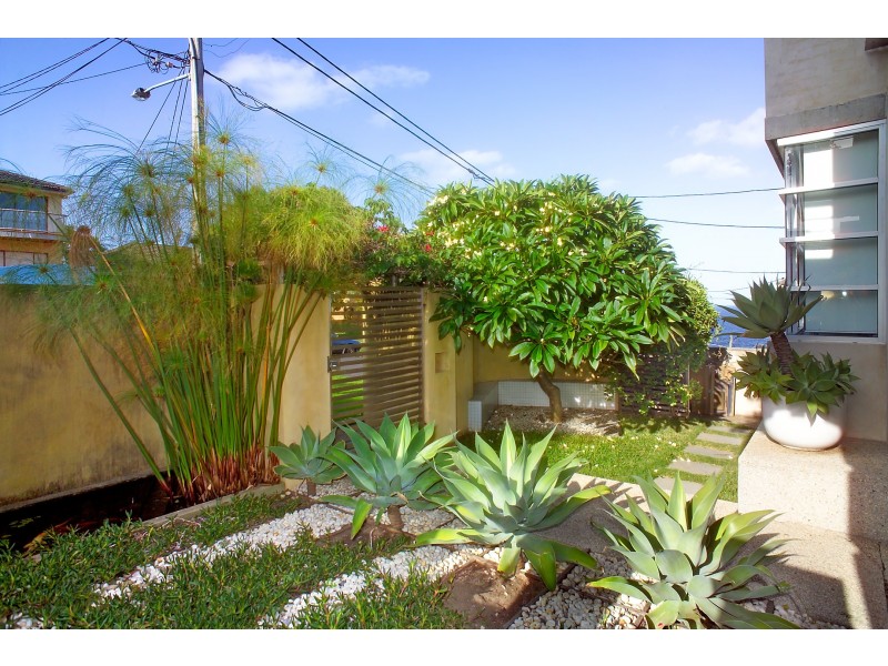 19 Liguria Street, South Coogee NSW 2034