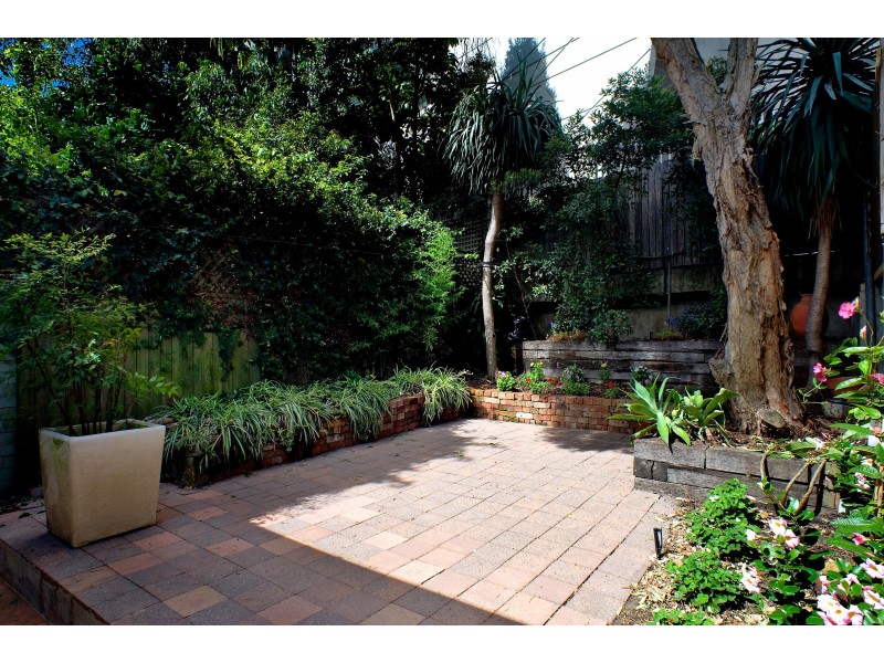5 Clifton Reserve, Surry Hills NSW 2010