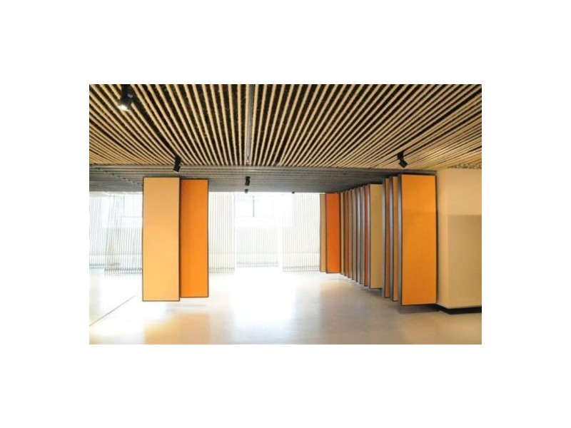 197 young street, Alexandria NSW 2015