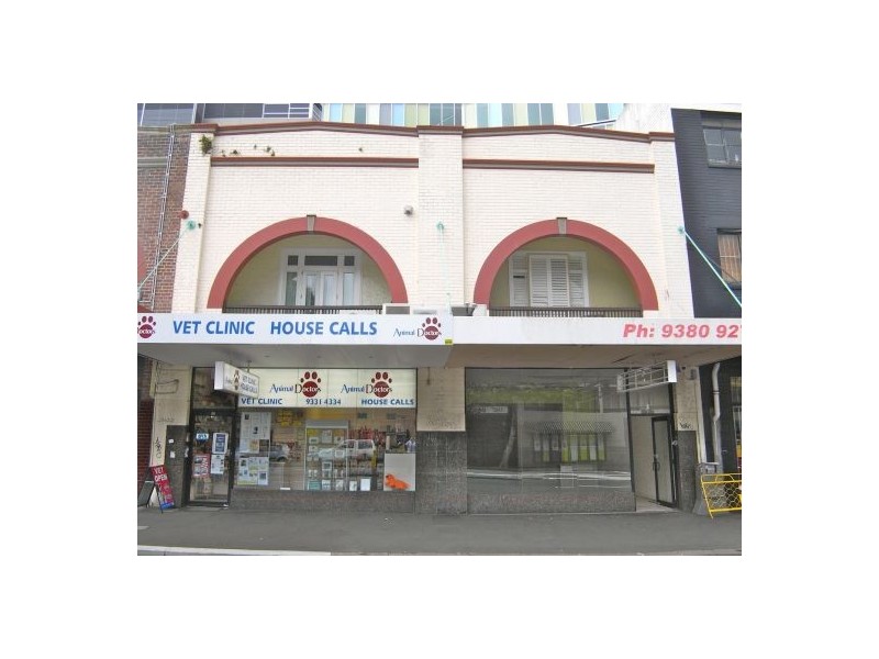 53 Flinders Street, Darlinghurst NSW 2010