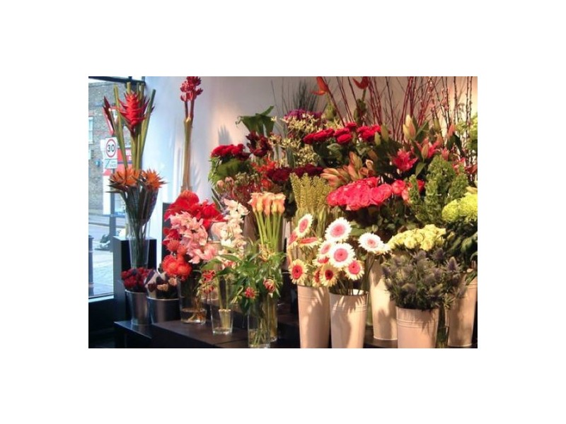 118 Willoughby Road, Crows Nest NSW 2065