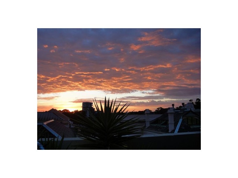 Surry Hills NSW 2010