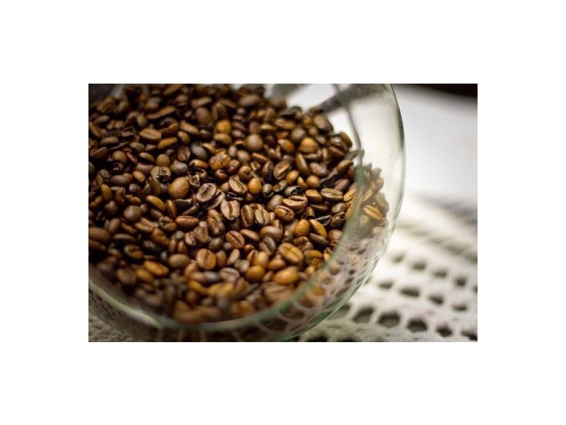 Surry Hills NSW 2010