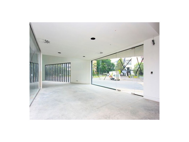 11 Joynton Ave, Waterloo NSW 2017