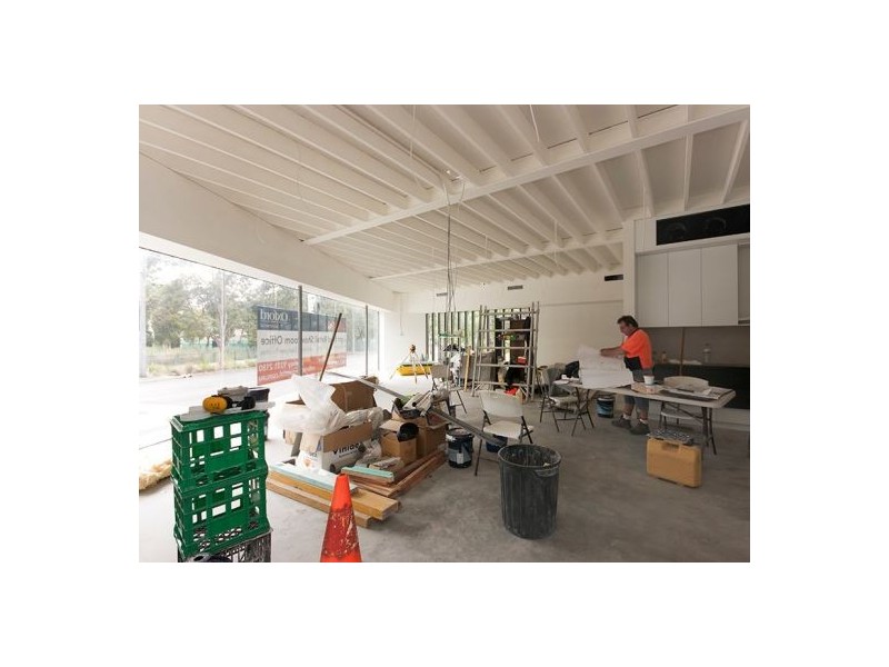 11 Joynton Ave, Waterloo NSW 2017