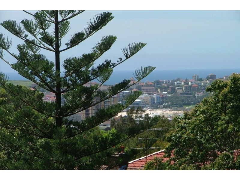 4/1A Moore Street, Bondi Beach NSW 2026