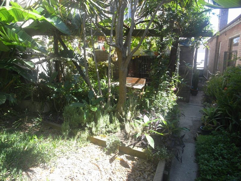 1/205 Coogee Bay Road, Coogee NSW 2034