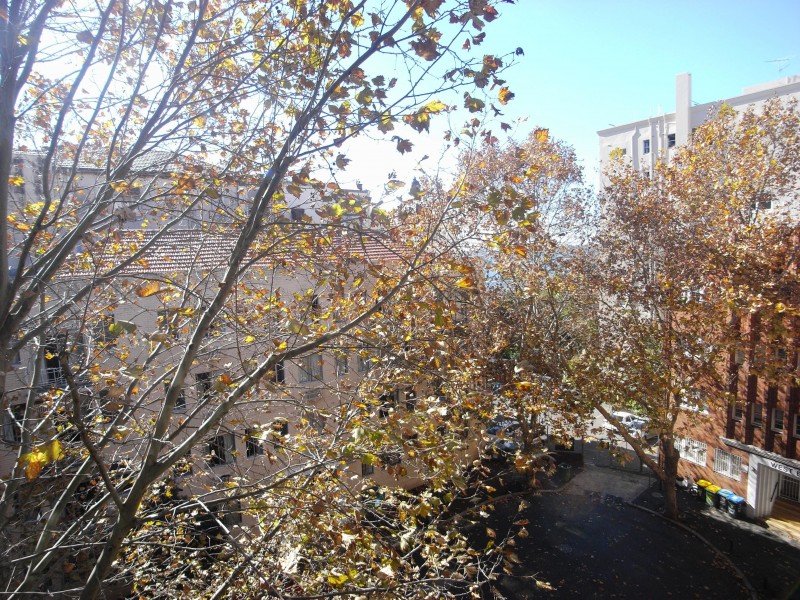 Suite 3.03, 46A Macleay Street, Potts Point NSW 2011