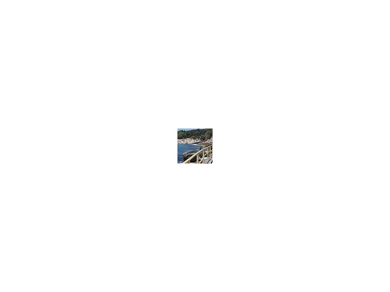 27 Belgrave, Manly NSW 2095