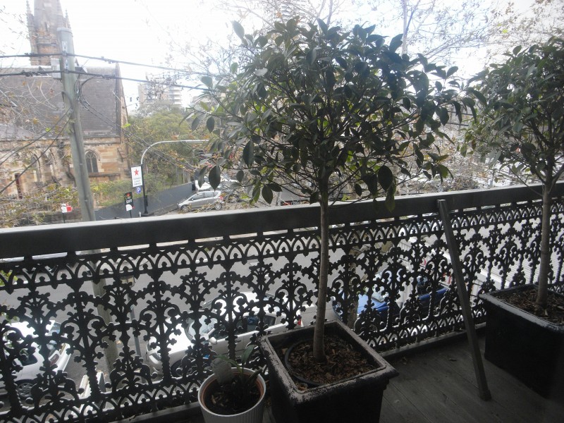 Level 1, 326 Victoria Street, Darlinghurst NSW 2010