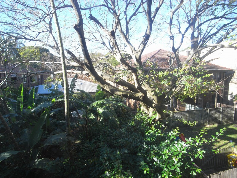 Suite 4, 737 New South Head Road, Rose Bay NSW 2029